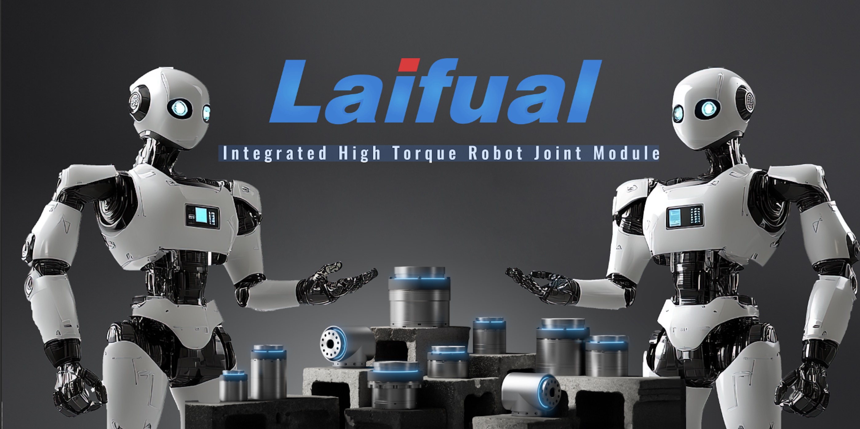 Integrated High Torque Robot Joint Module: A Comprehensive Overview